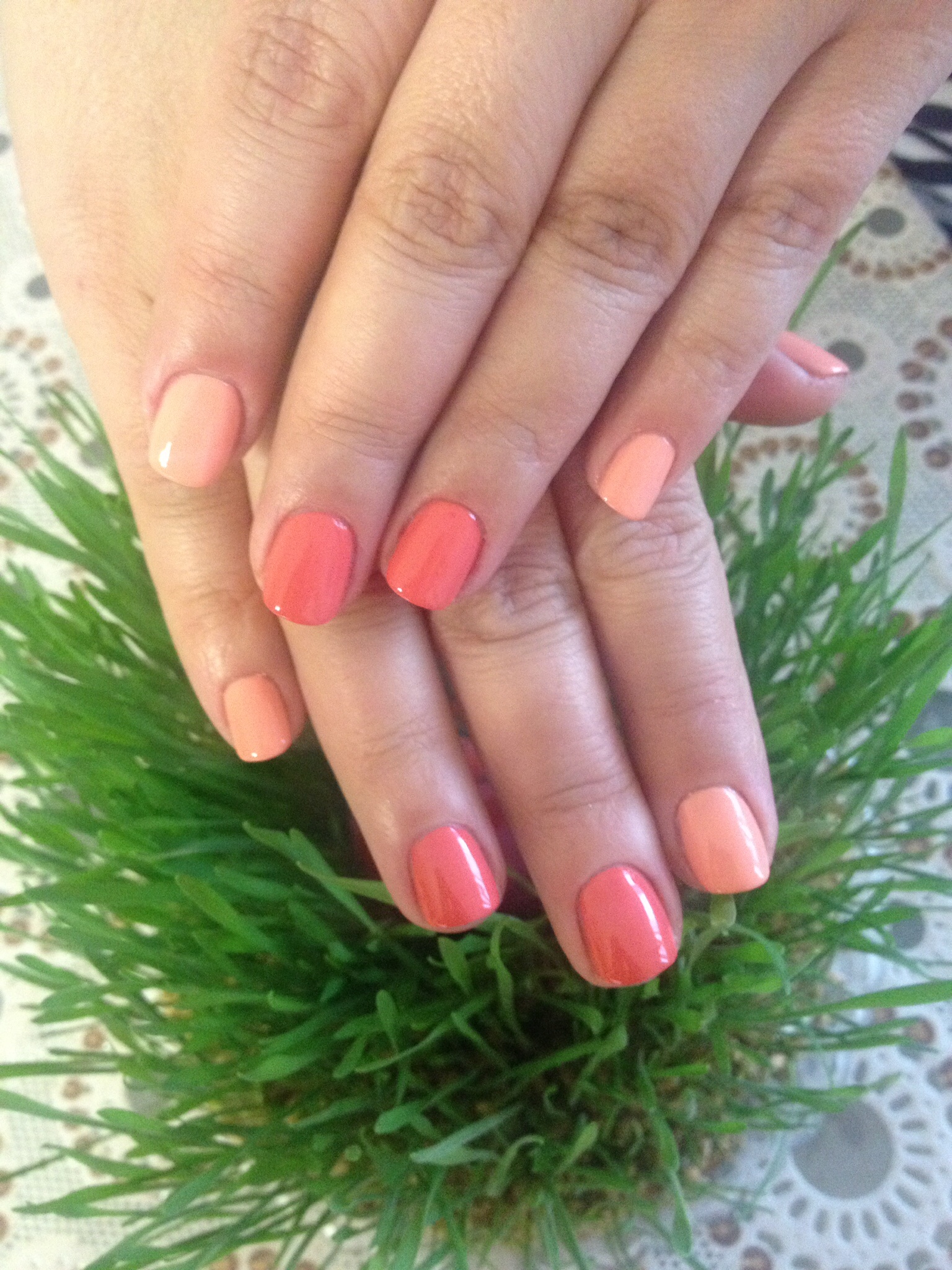 Ногти шеллак в домашних условиях фото Shellac French Manicure Yelp Shellac french manicure, French acrylic nails, Wedd