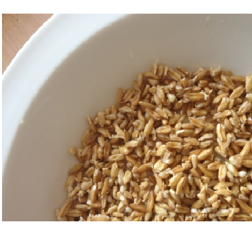 Пшеница однозернянка. Полба посев. Двузернянка вид пшеницы. Полба спельта. Полба спельта.