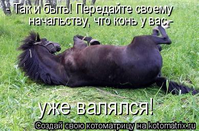 Конь не валялся картинки прикольные