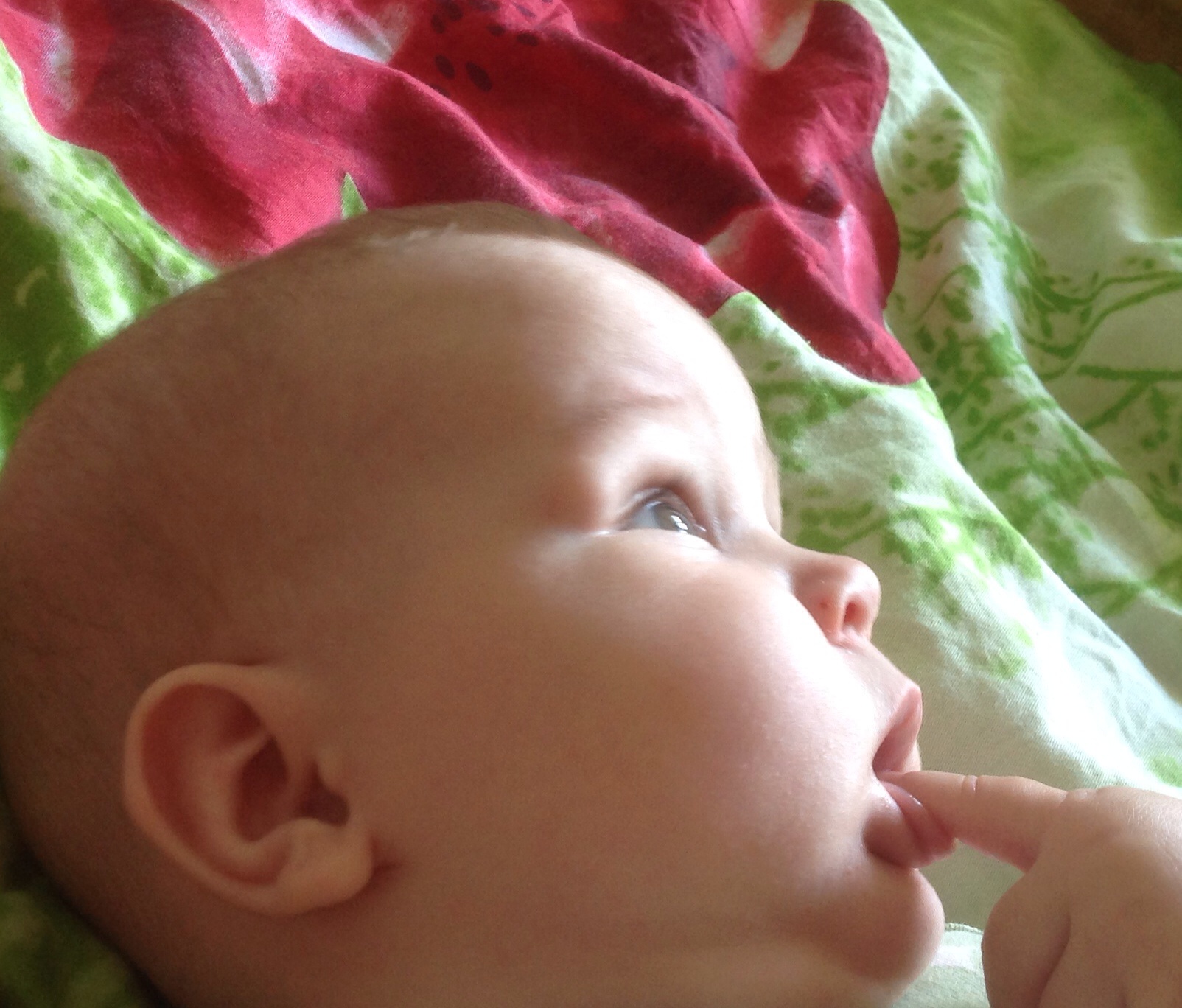 холодный нос у месячного ребенка. у ребенка холодный нос ночью. новорождённые дети. у ребенка холодный нос ночью. корочки за ушами у новорожденного.