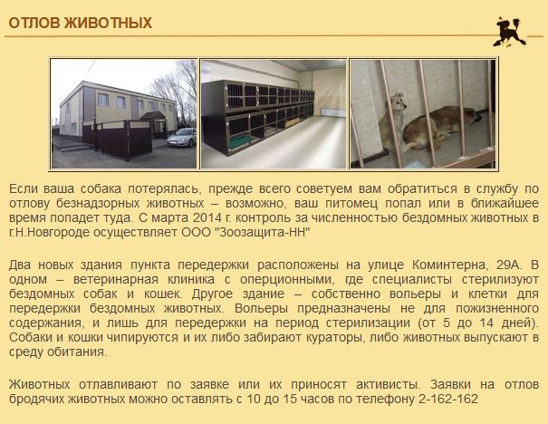 Договор передержки животного образец