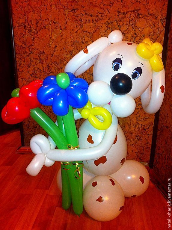 Собака из воздушного шарика. Собачка из шаров. Фигуры из шаров собачка. Собачка из воздушных шариков. Мастер класс собака из шаров.