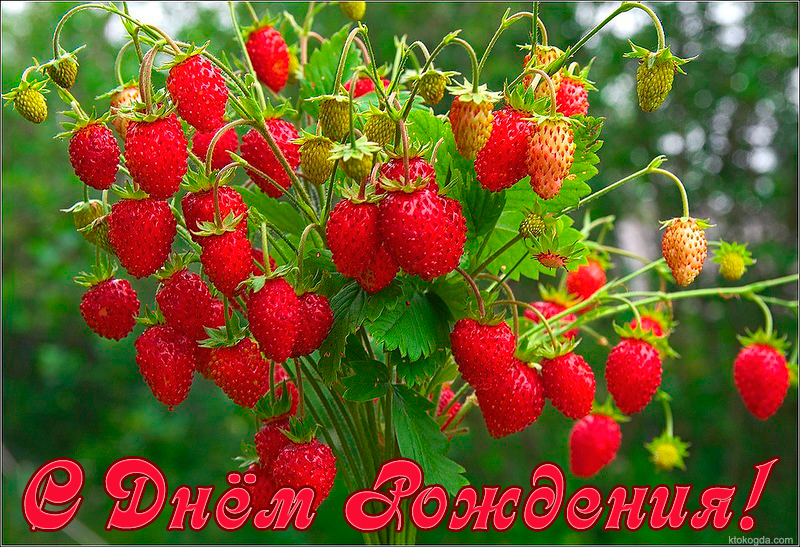 http://cstor.nn2.ru/forum/data/forum/images/2015-02/113623649-zemlyanika.jpg