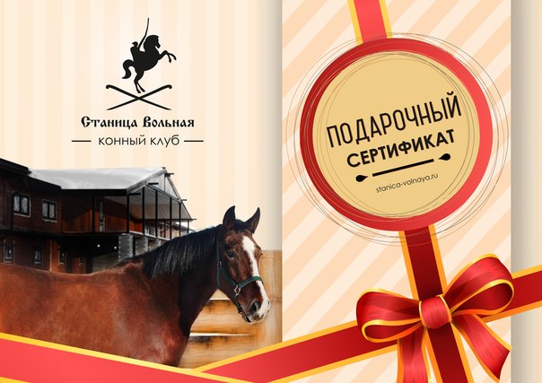 Подарочная карта катание на лошадях