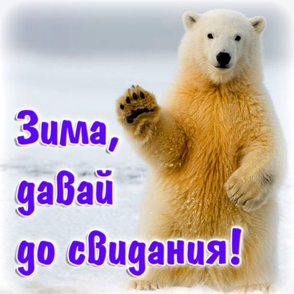 картинка прощай зима привет весна бы, столице