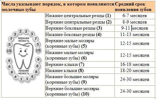 Как режутся зубы у детей