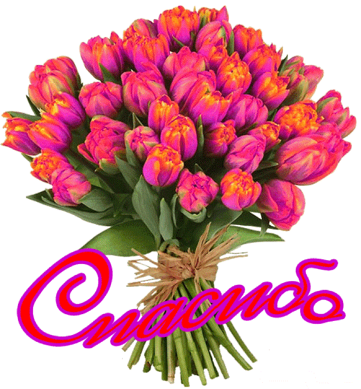 Красивая картинка со спасибо. Спасибо цветы. Букет тюльпанов открытка. Благодарность цветы. Букет "спасибо".
