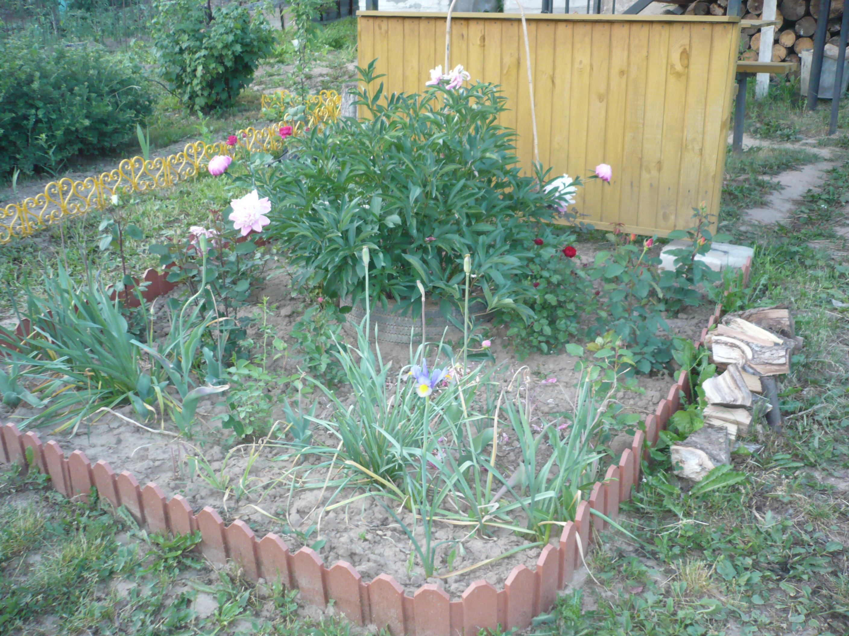 Грядки из сайдинга своими руками