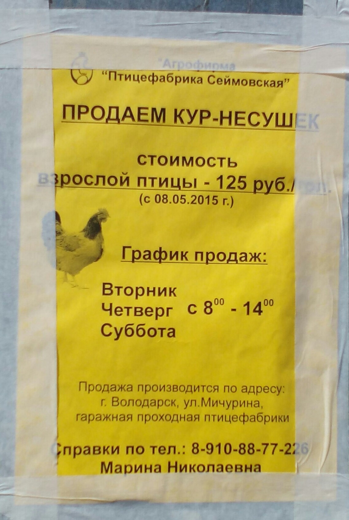 Малечкино Птицефабрика Продажа Кур