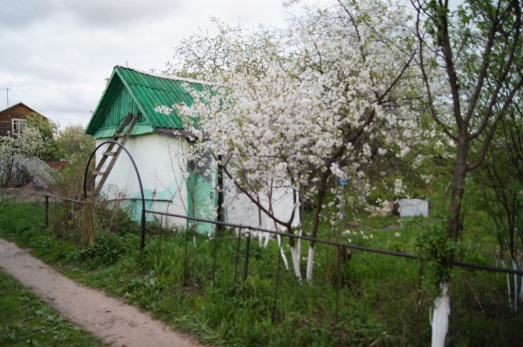 Купить Сад Недорого Г Бор Сельхозтехника