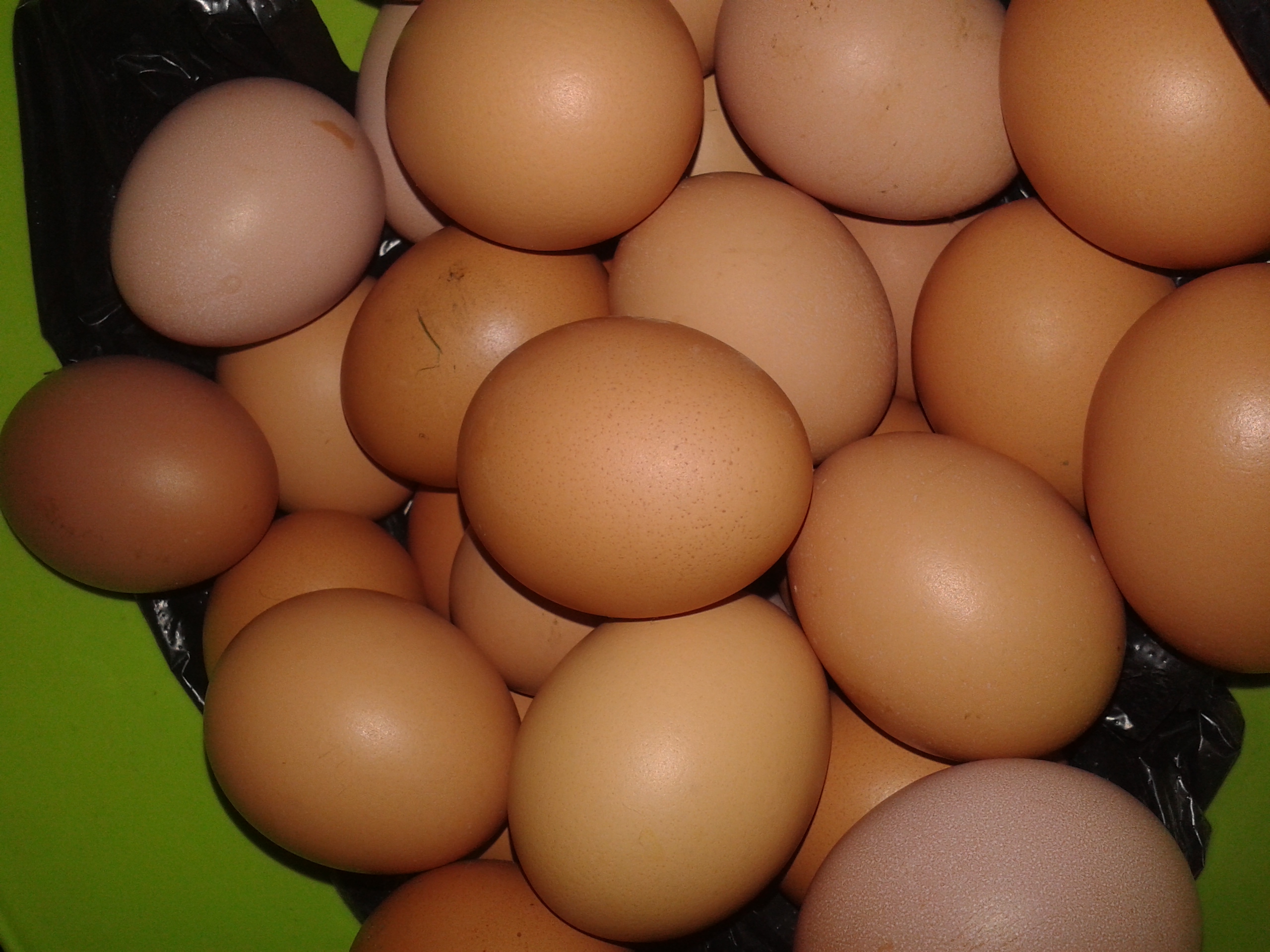 Купить яйцо в белгородской области. Яйцо куриное. Яйца Деревенские. Яйца куриные Деревенские. Фото яиц куриных.