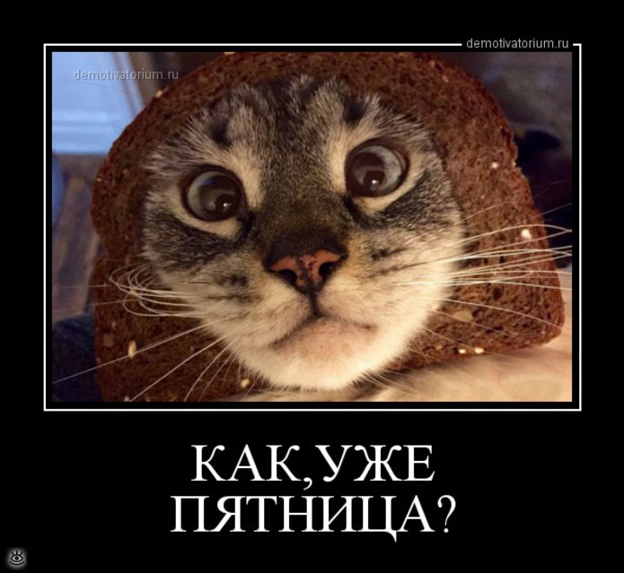 Демотиваторы Про Пятницу Новые