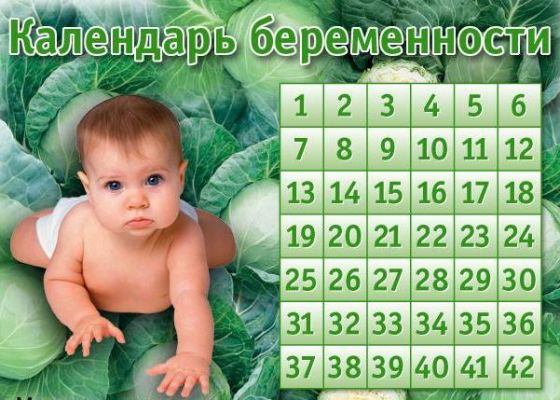 Календарь беременности на 2025 год Приму в дар вещи на 52 р-р и вещи и др. для малютки страница 2