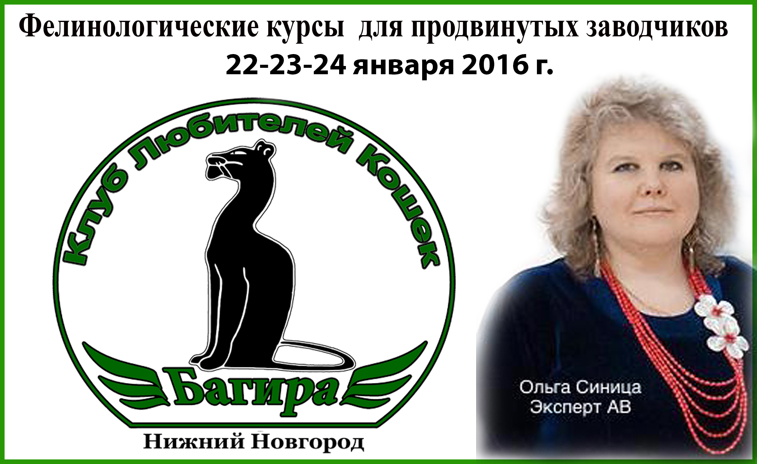 Ольга синица
