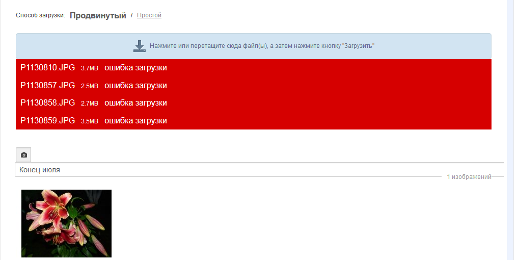 Не грузятся картинки в ютубе