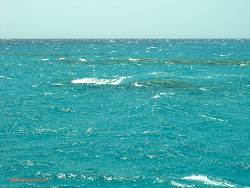 Индийский океан соленый. Самые солёные поверхностные воды океана. Самое соленое море. Соль в море. Море с разным цветом воды фото.