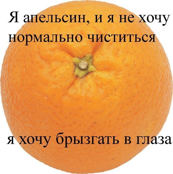 От осинки не родятся апельсинки картинки