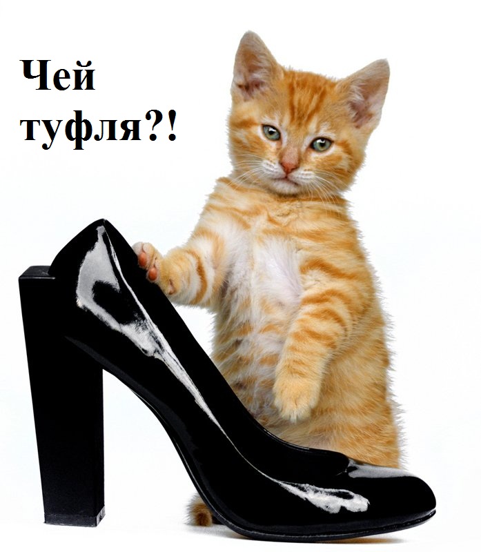 Чей туфля картинки