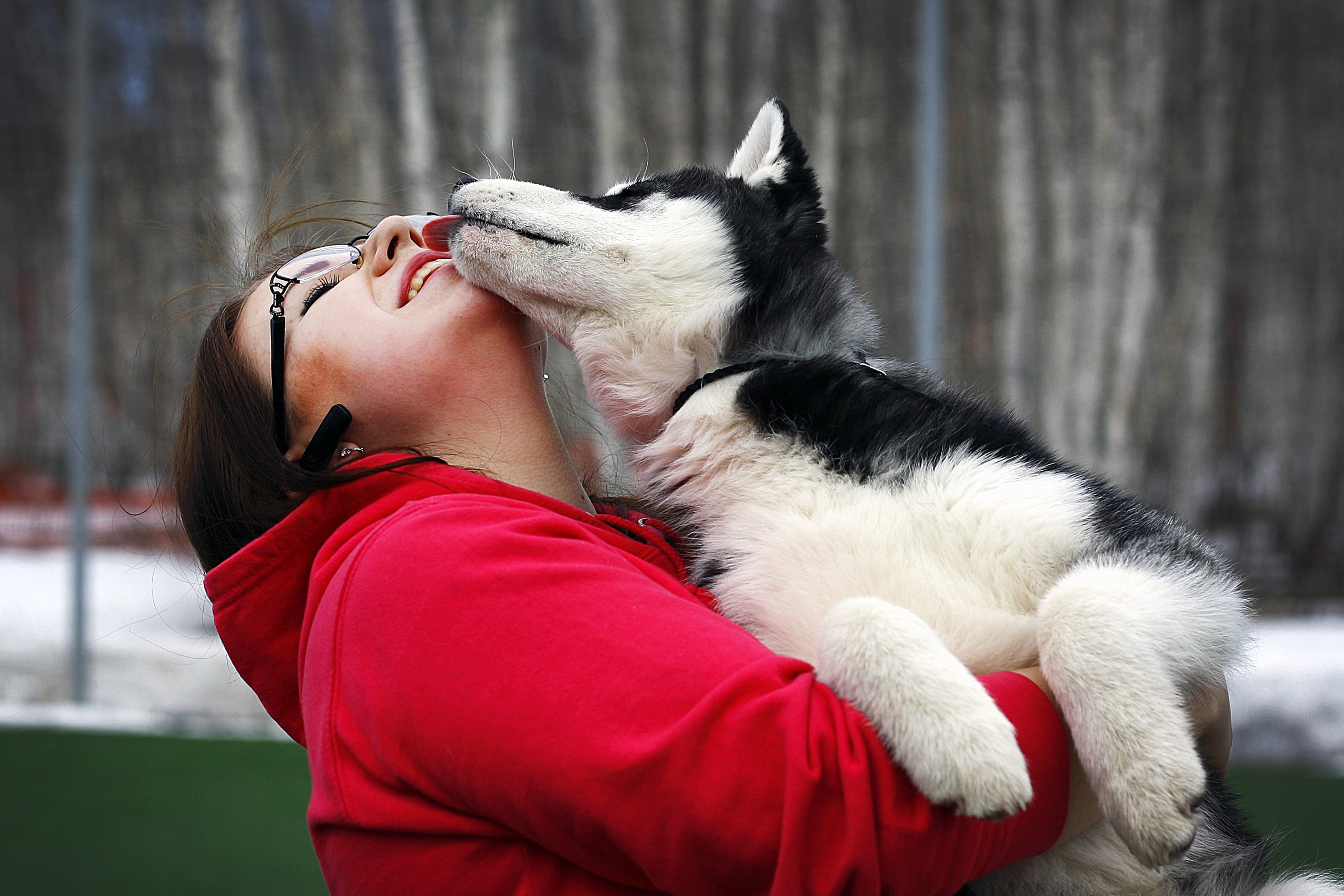Плюсы ринговой дрессировки для собаки и хозяина