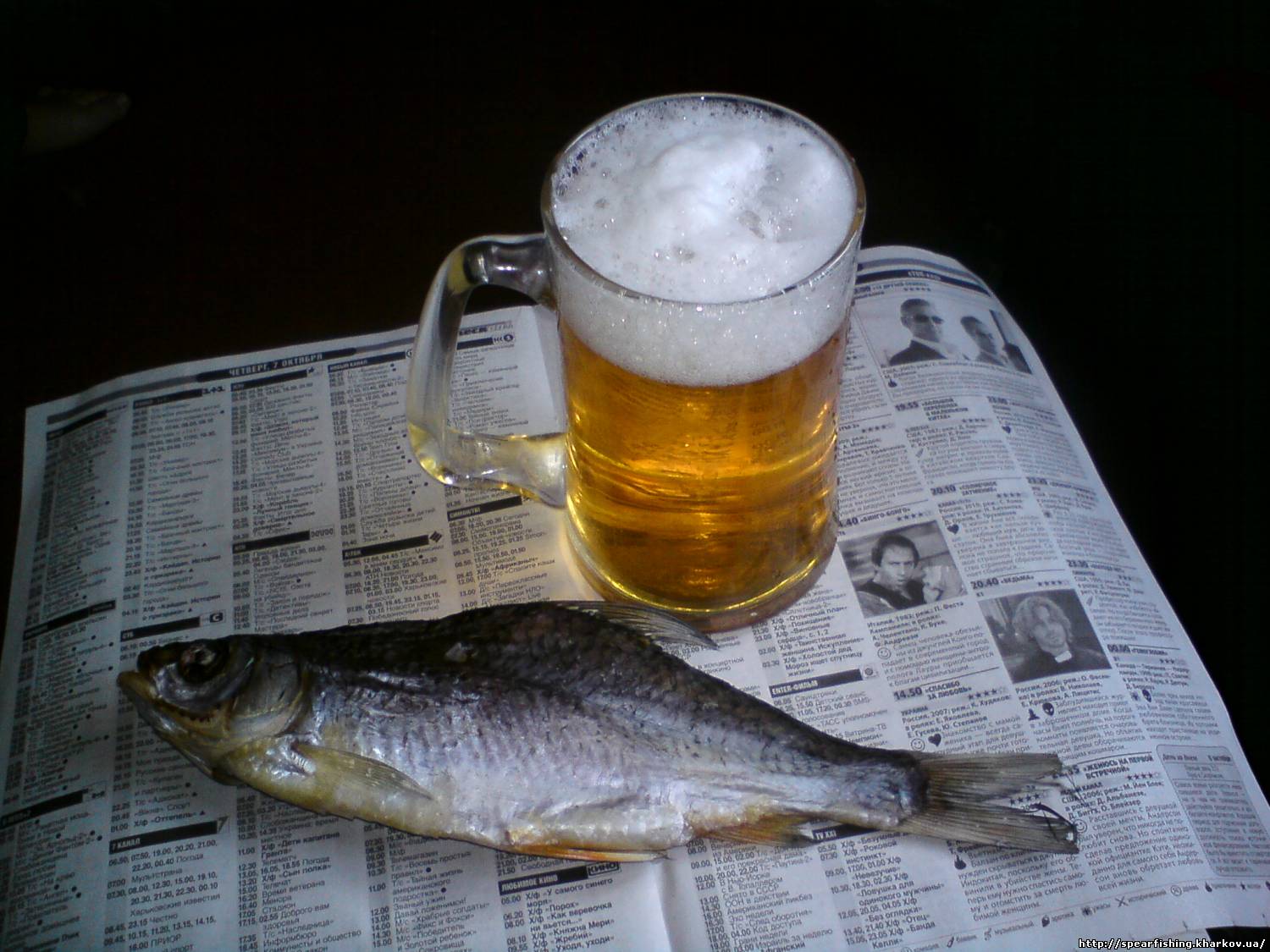Рыба пьет пиво. Пиво с таранкой. Таранка с пивом. Пиво вобла.