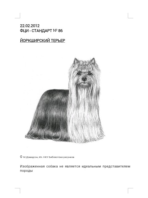 Стрижка йорка схема грумера