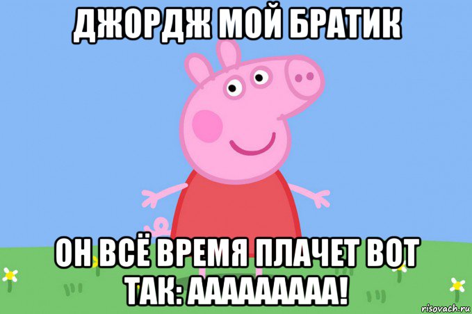 Доброе утро моя девочка мем свинья очень нужна помощь 3м котятам - обсуждение (30861762) на форуме nn.ru