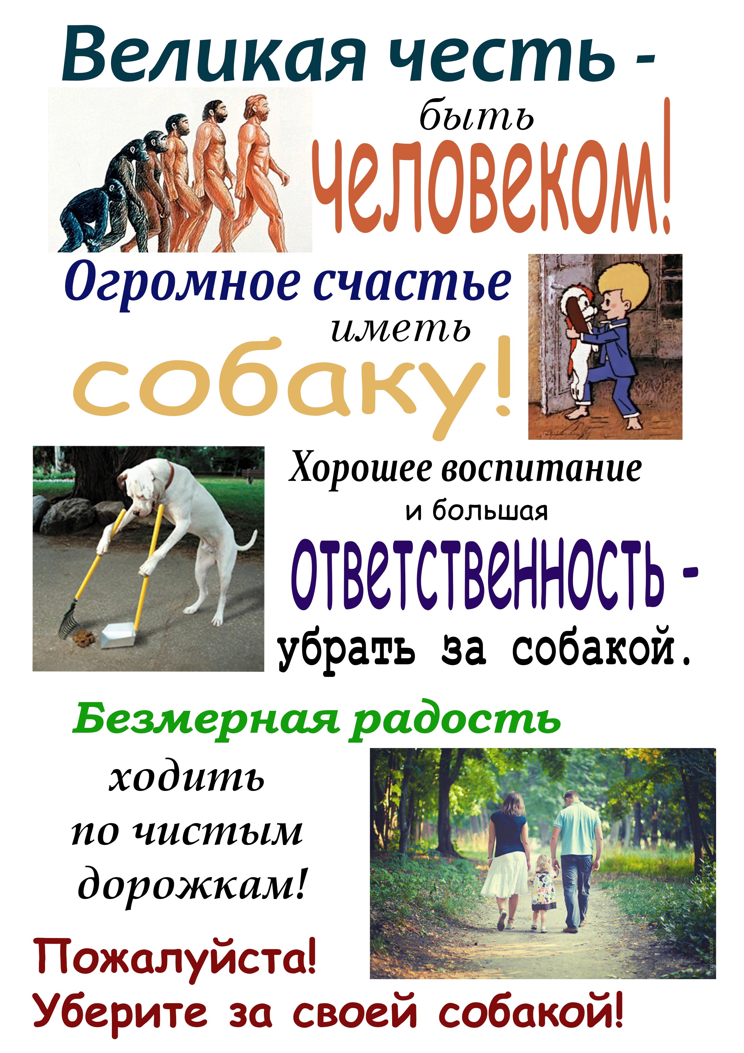 Объявление по выгулу собак образец