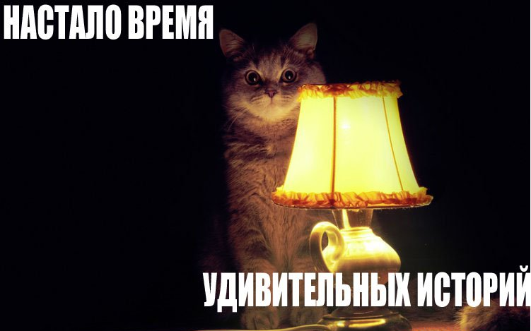 Истории на ночь кот