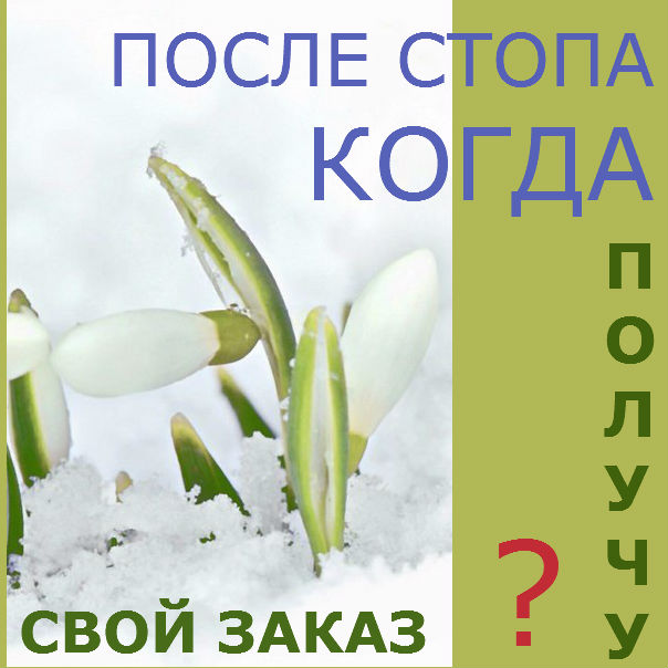 Апрель напомнил. Последняя неделя перед майскими. Апрель напомнил. Апрельский пейзаж. С первым днем весны.