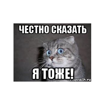 Честно Сказать Я В Ахуе
