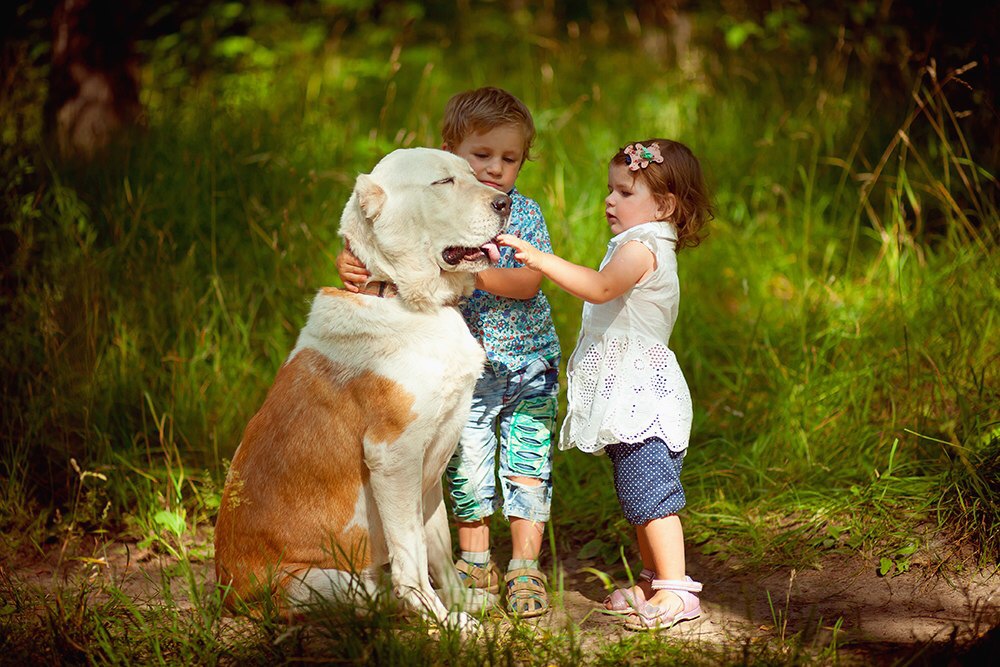 Животные. Животные. Собака для детей. Фотограф дети с животными. Дружба дети и животные.