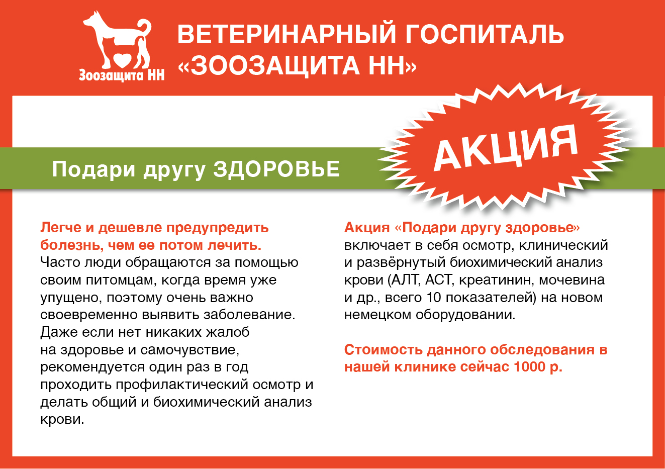 куда можно сдать животного. алиса приют для животных рубцовск. приют для котов. кошки из приюта. питомник для бездомных собак.