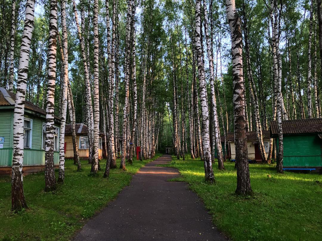 Купить Сад В Кстовском Районе Нижегородской Области