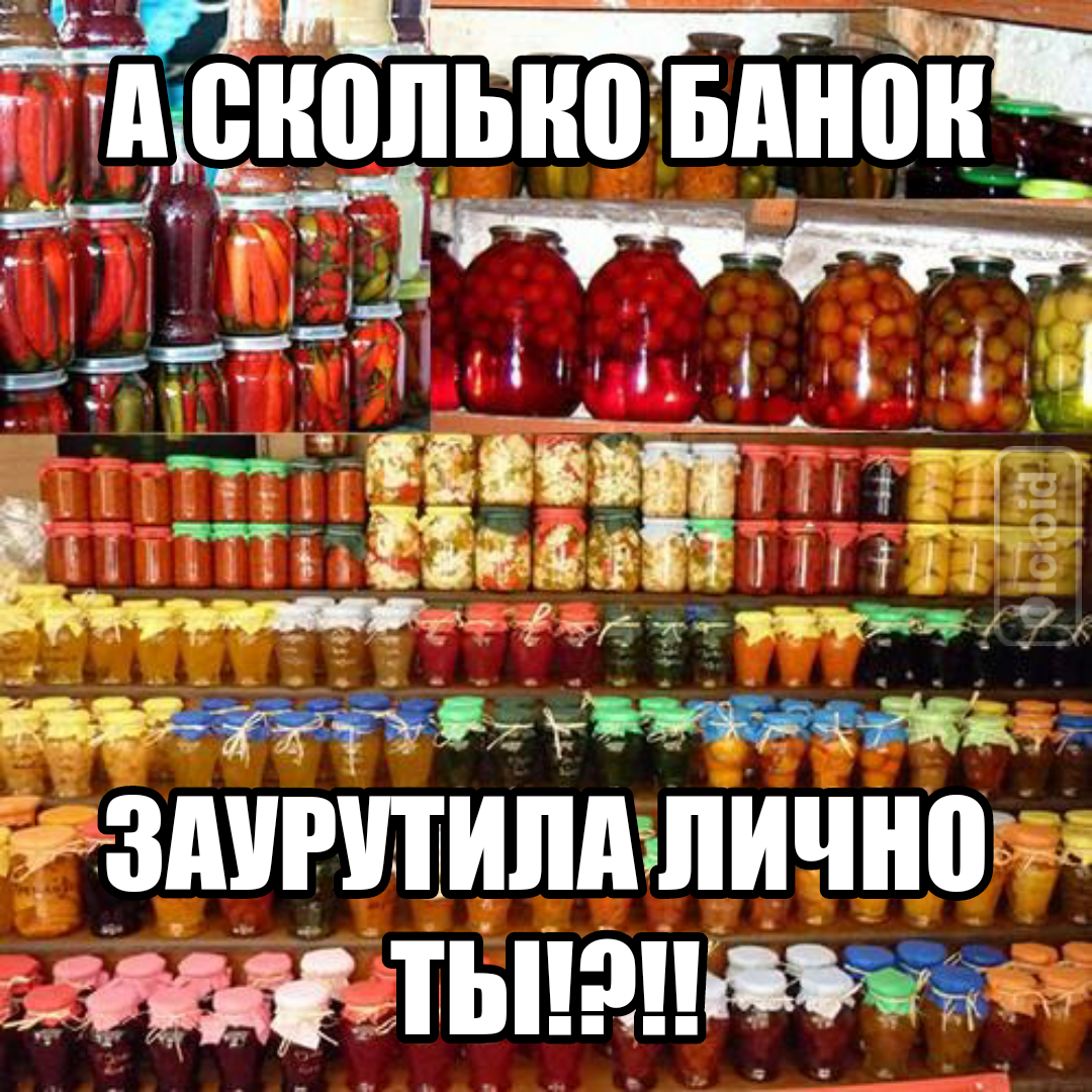 Заготовки На Зиму Приколы