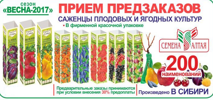 Купить Семена И Саженцы