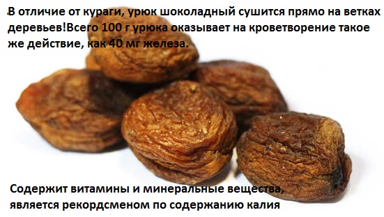 Почему Урюк Слаще Кураги