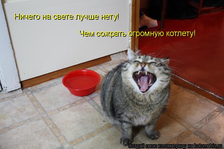 Смешные очень, картинка с надписью жрать хочу