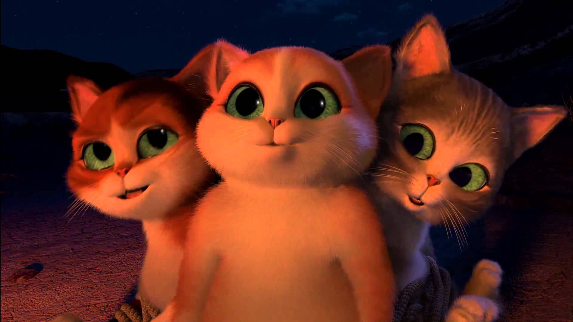 Три киса. Кот в сапогах: три чертенка (2011). Кот в сапогах три чертенка. Кот в сапогах 3 чертенка.