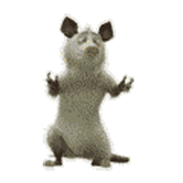 https://cstor.nn2.ru/forum/data/forum/images/2017-02/168656229-3_20q6hribnc2azzl.gif