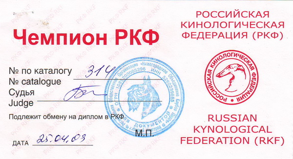 Заявка на присвоение титулов ркф чемпионы образец заполнения