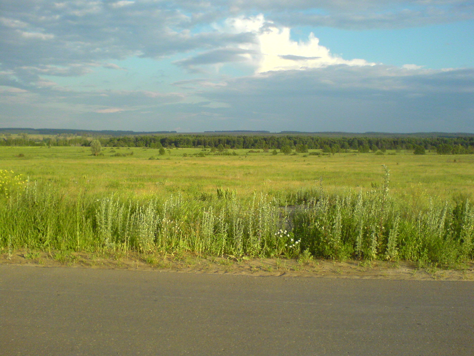 Купить Сад В Кстовском Районе Нижегородской Области