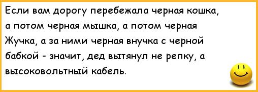 Кошка черная перебежала дорогу