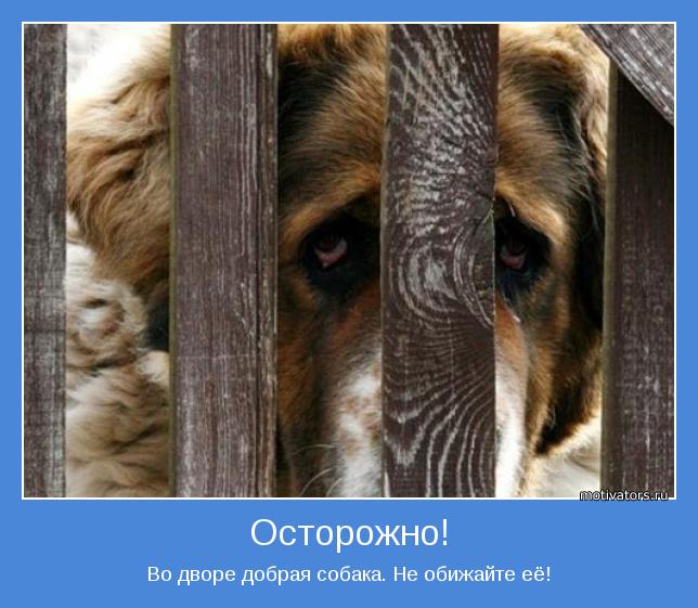 Женщин и собак обижать не. Собака обиделась. Не обижайся собаки. Картинки не обижайте собак. Про собаку чтобы не обижали.