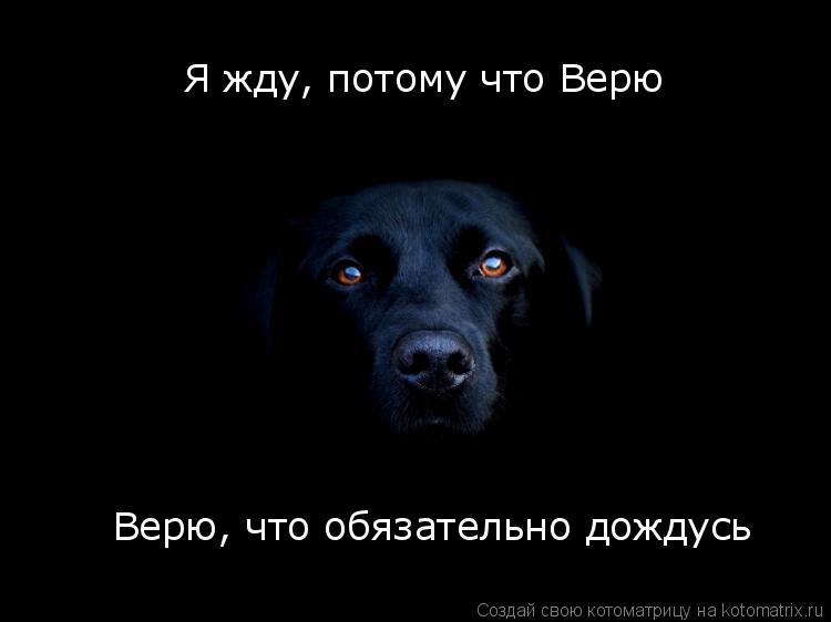 Потому что не верю тебе. Я верю и жду. Я жду. А Я все жду. Жду жду.