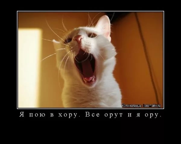 Орущие Песни