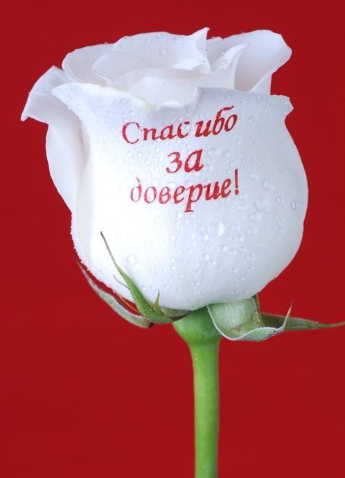 Благодарю за доверие картинки