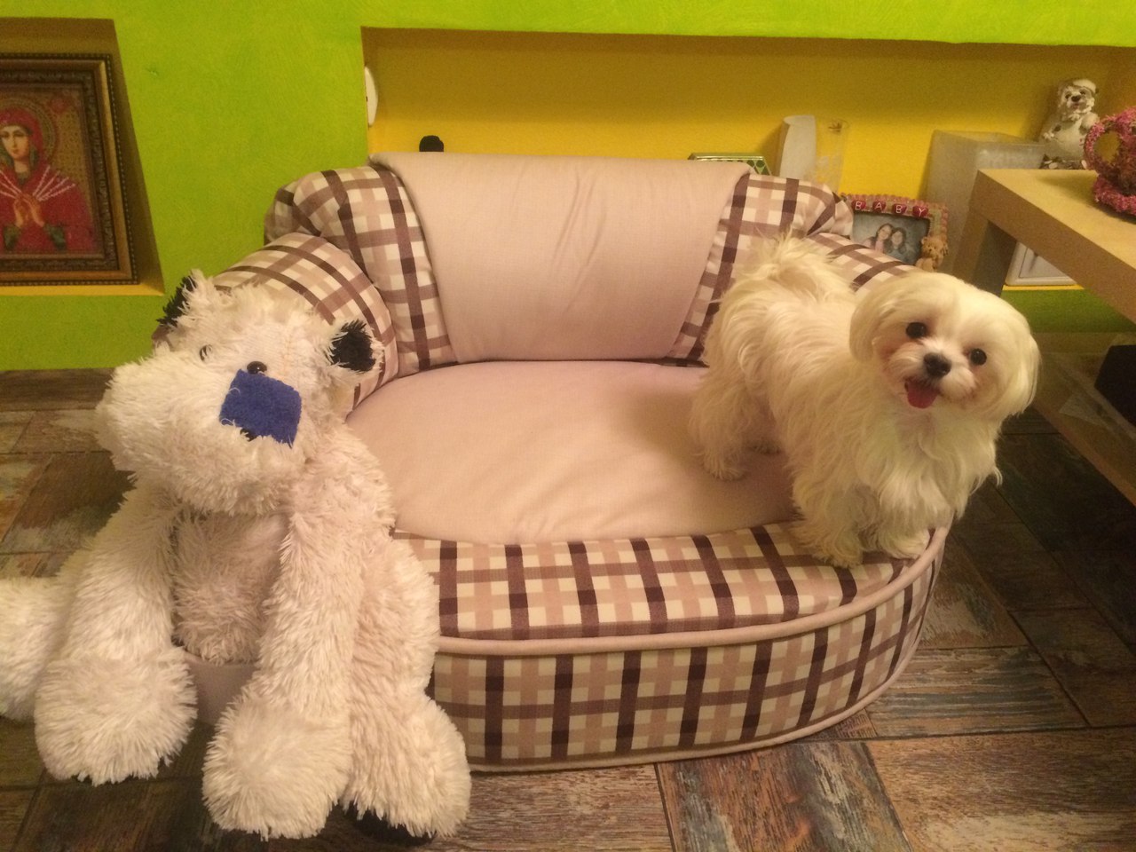 Диван с лежанкой. Диван кошка. Диванчик для собаки своими руками. Место для собаки своими руками. Самодельная лежанка для собаки.