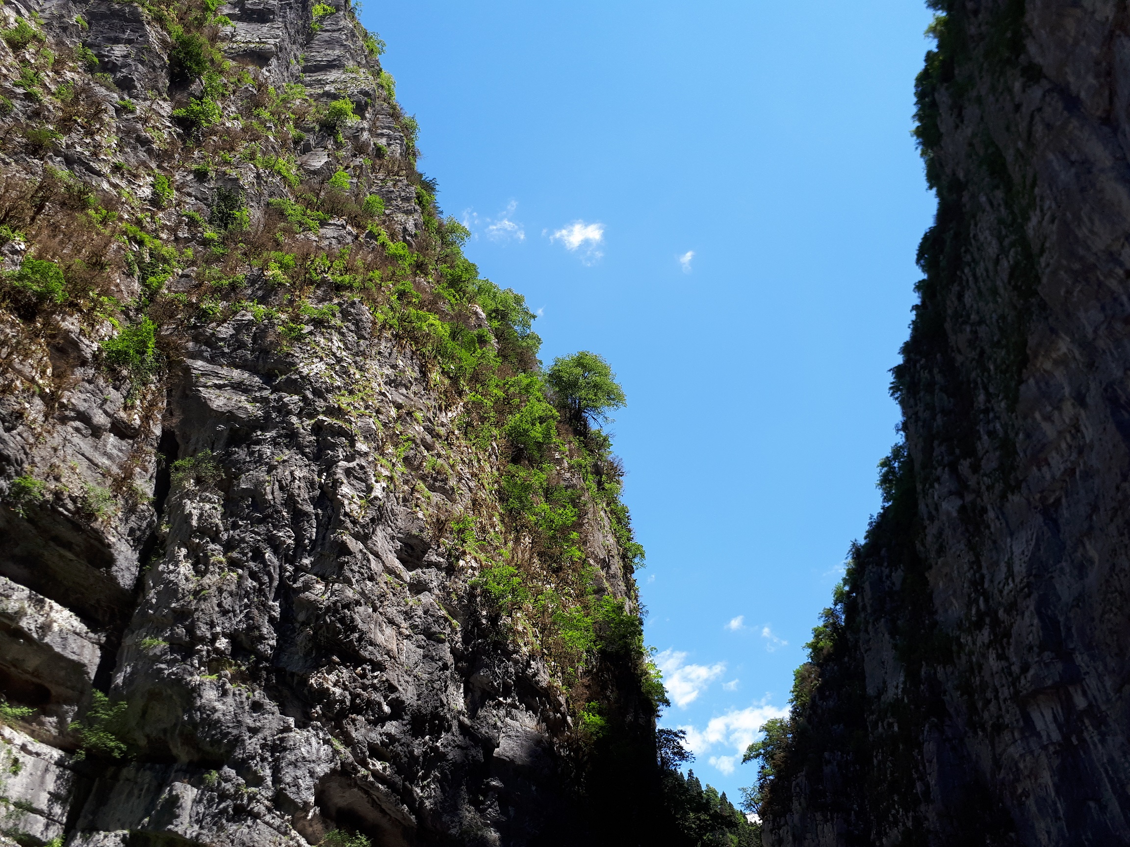 Йоркширский каньон Абхазия фото