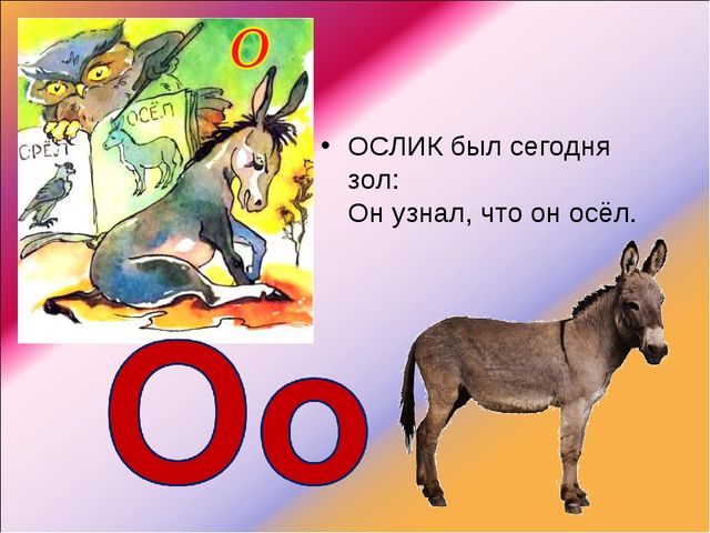 Презентация про осла