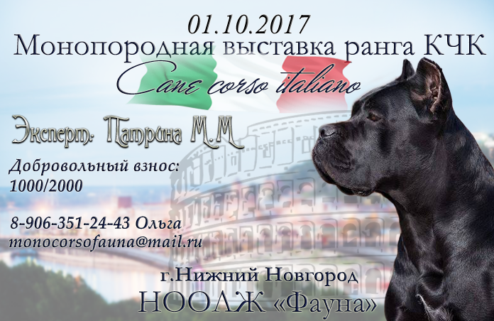 Выставка кане корсо. Кане Корсо на выставке. Монопородная выставка. Кане Корсо собака выставка. Фото с выставки Кане Корсо.